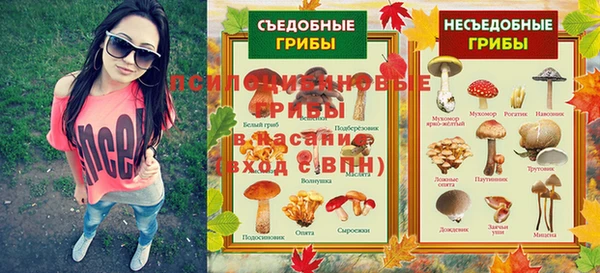 кокс Баксан