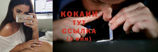ешки Арсеньев