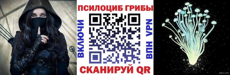 как найти закладки  Палласовка  Псилоцибиновые грибы GOLDEN TEACHER 