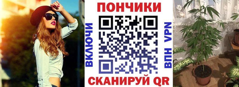 Бошки Шишки THC 21% где купить наркотик Палласовка